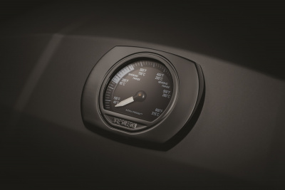 Газовый гриль NAPOLEON Мобильный TravelQ PRO-285X — купить с доставкой и консультацией