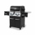 Газовый гриль Broil King Regal 490 — купить с доставкой и консультацией