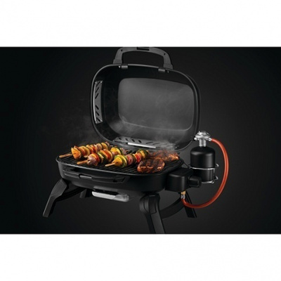 Газовый гриль NAPOLEON TravelQ 240 портативный — купить с доставкой и консультацией
