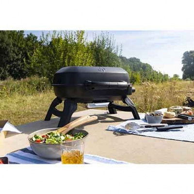 Газовый гриль NAPOLEON TravelQ 240 портативный — купить с доставкой и консультацией