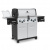 Газовый гриль Broil King Regal S590IR — подробное фото и характеристики Газовый гриль Broil King Regal S590IR — купить с доставкой и консультацией